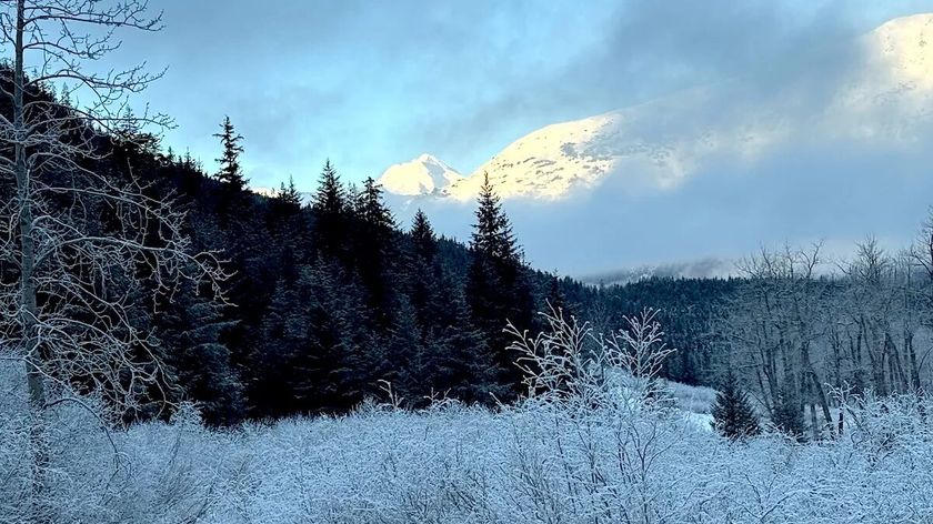 Winter biking in the Girdwood Valley on the Winner Creek Trail. Photo courtesy of Davin Holen.