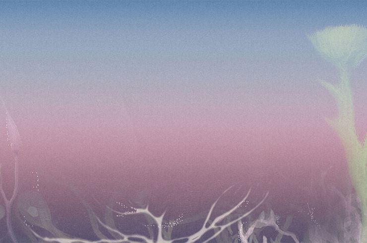 Arctic Art Forum: Climate Microchanges