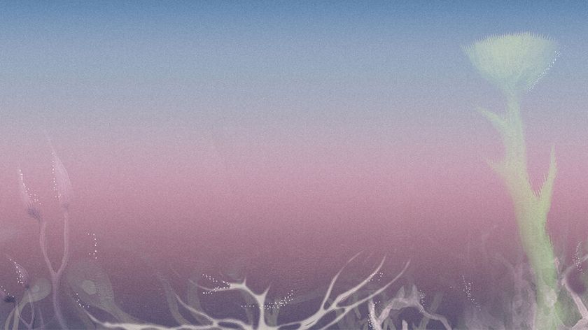 Arctic Art Forum: Climate Microchanges