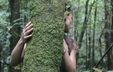 A woman is hugging a tree. A woman is hugging a tree.