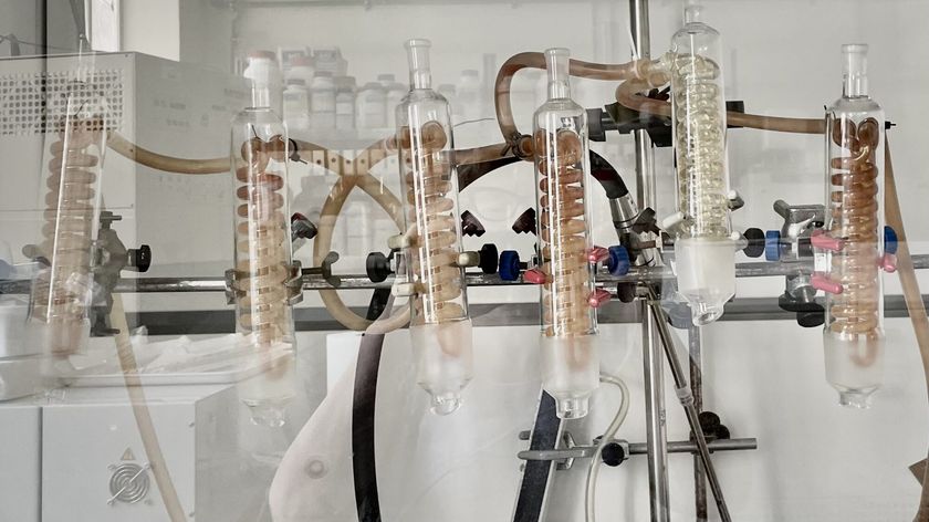Photograph from a laboratory showing part of an apparatus with six vessels containing spiral-shaped tubes.