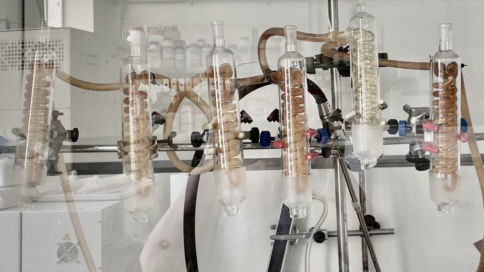 Photograph from a laboratory showing part of an apparatus with six vessels containing spiral-shaped tubes.