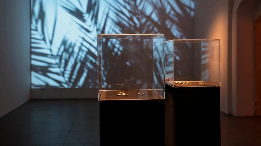 Photograph of an installation featuring two square glass boxes set against a video projection showing shadows of leaves.