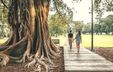 Two people are walking beside a huge tree trunk. Two people are walking beside a huge tree trunk.