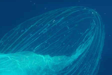 Abstract image of an indistinct object submerged in water. Abstract image of an indistinct object submerged in water.