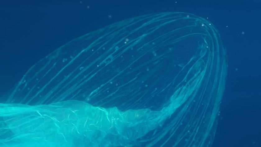 Abstract image of an indistinct object submerged in water.