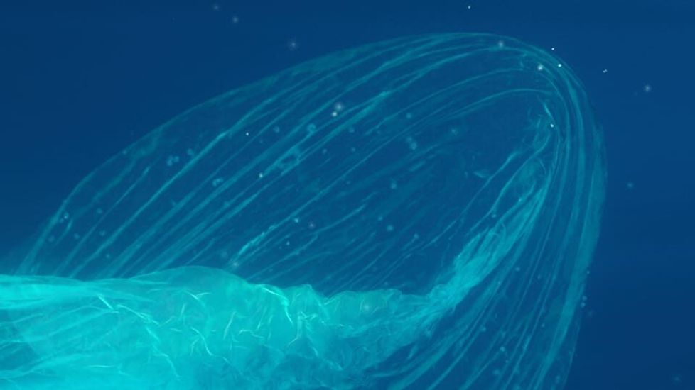 Abstract image of an indistinct object submerged in water.