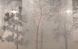 Photograph of an installation detail featuring tree silhouettes printed on translucent film, with overlapping flat layers creating the impression of a forest shrouded in fog. Photograph of an installation detail featuring tree silhouettes printed on translucent film, with overlapping flat layers creating the impression of a forest shrouded in fog.