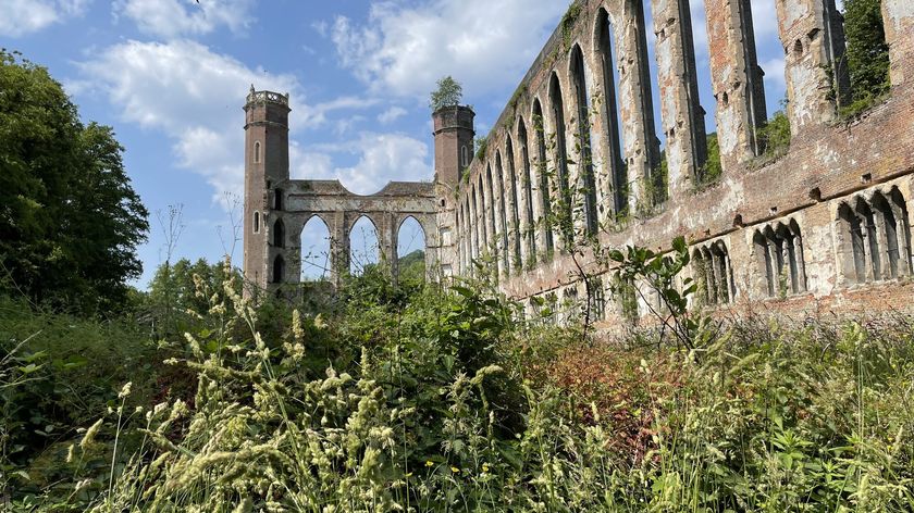 Photograph of ruins.