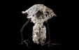 Artwork by Valentina Duriez featuring an abstract sculptural or graphic form resembling smoke. Artwork by Valentina Duriez featuring an abstract sculptural or graphic form resembling smoke.