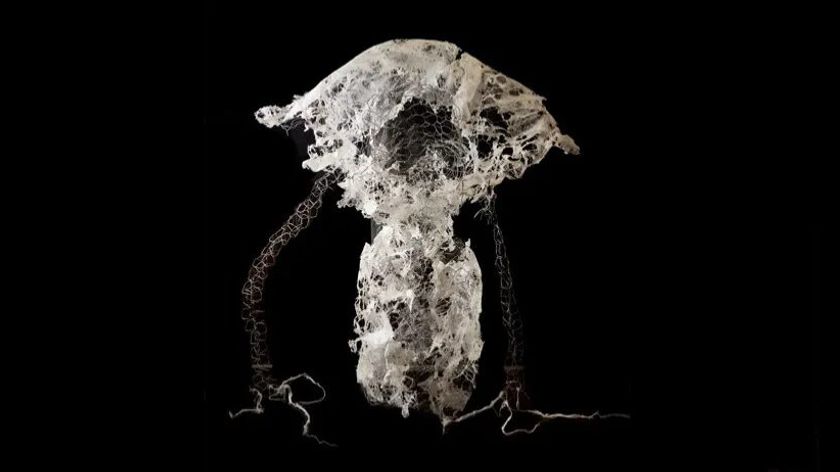 Artwork by Valentina Duriez featuring an abstract sculptural or graphic form resembling smoke.