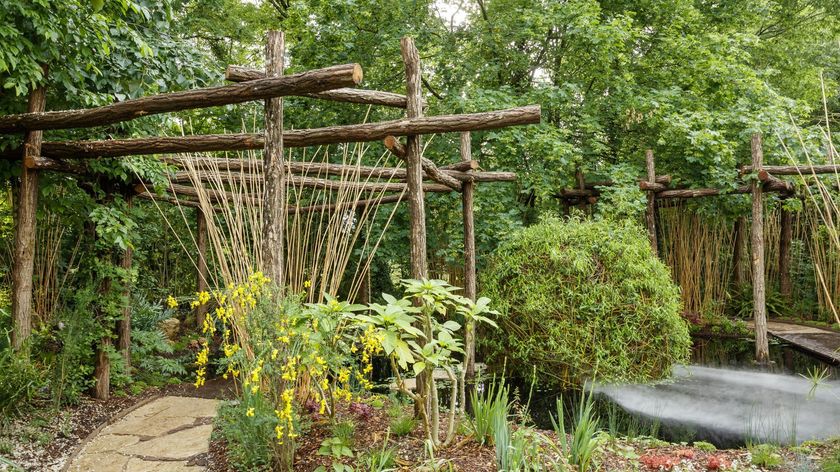 Photograph of a garden featuring wooden structures.